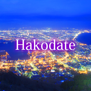 函館 HAKODATE 株式会社ランネットワーク 観光個人タクシー