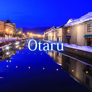 小樽 OTARU 株式会社ランネットワーク 観光個人タクシー