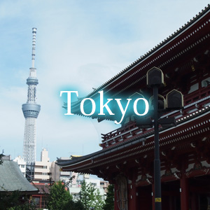 東京 TOKYO 株式会社ランネットワーク 観光個人タクシー