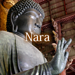 奈良 NARA 株式会社ランネットワーク 観光個人タクシー