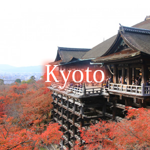 京都 KYOTO 株式会社ランネットワーク 観光個人タクシー
